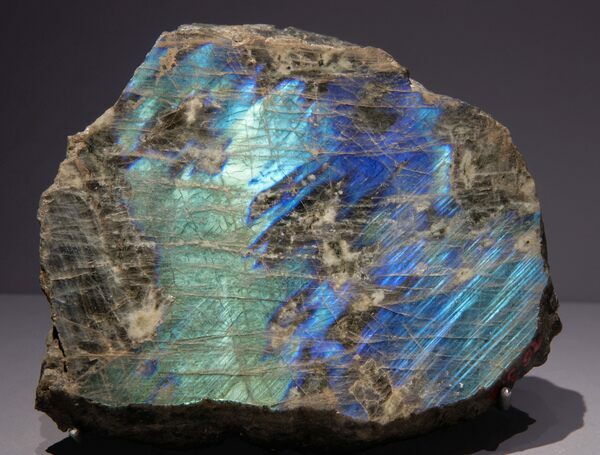 A Labradorite specimen from Labrador, Canada. Collection of the Gallery of Mineralogy and Geology, French National Museum of Natural History, Paris.